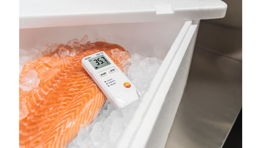 testo 184 T2 disposable temp data logger w/ display (operating time 150 days)