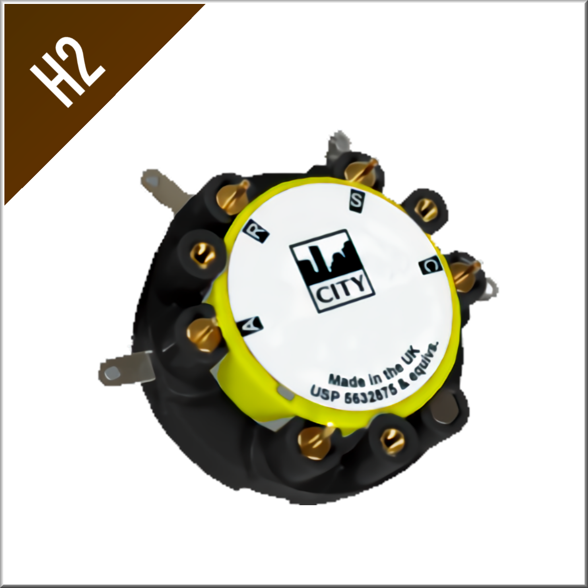 H2 Sensor – 1 % / 2 % (FOR OPTION #12243)