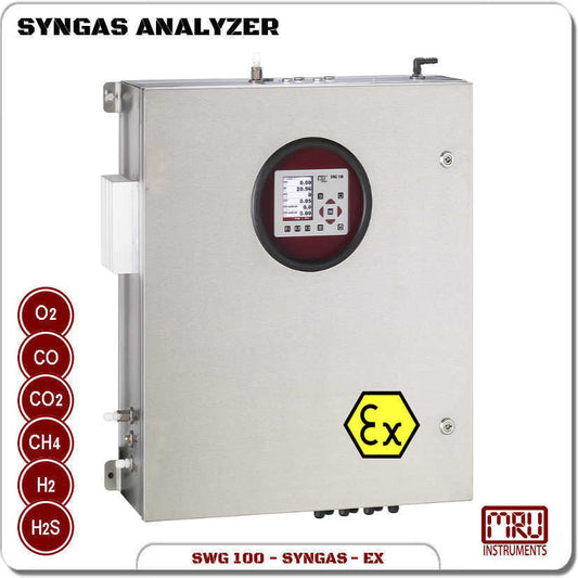 SWG 100 SYNGAS EX- Analyzer